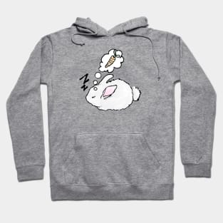 sleeping bunny Hoodie